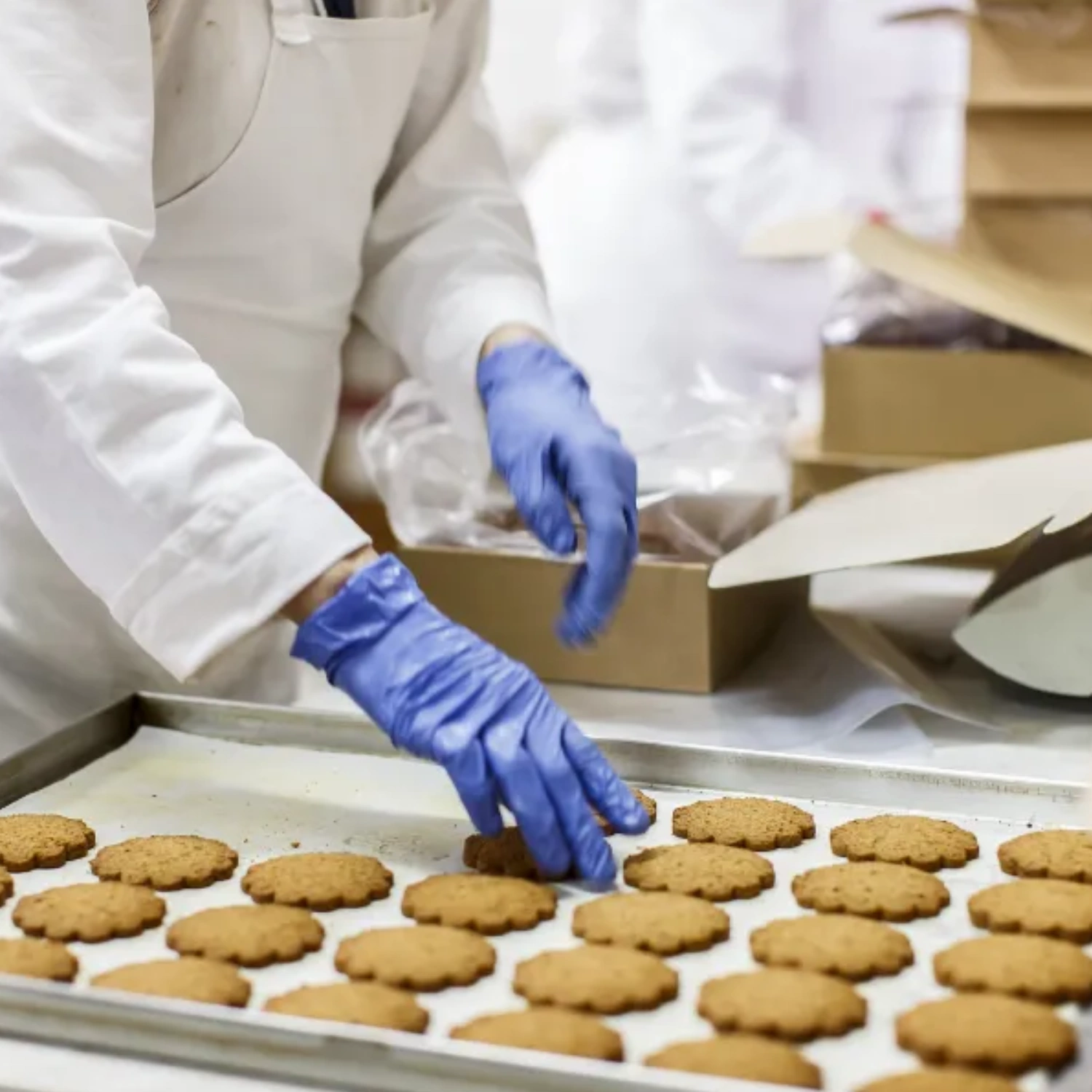 Food Hygiene Course level 5 2
