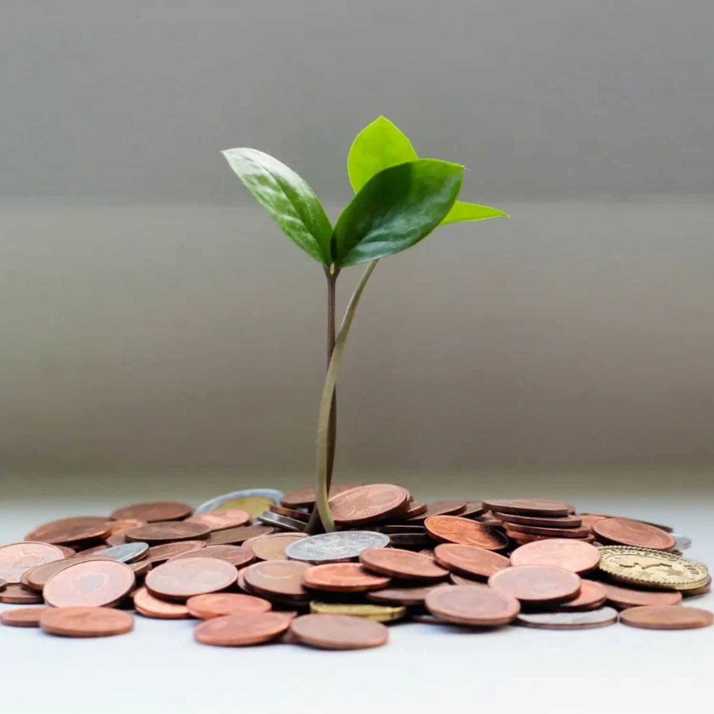 Cost effective money growth